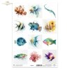 błazenek, skrzydlica, iglicznia, wargacz, mandaryn, papugoryba, akwarela, ryby*clownfish, lionfish, pipefish, wrasse, mandarinfish, parrotfish, watercolor, fish